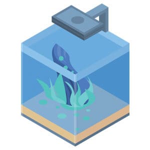 Aquário de 10 galões para iniciantes de qualidade