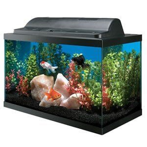 Aquário Tank and Hood Combo