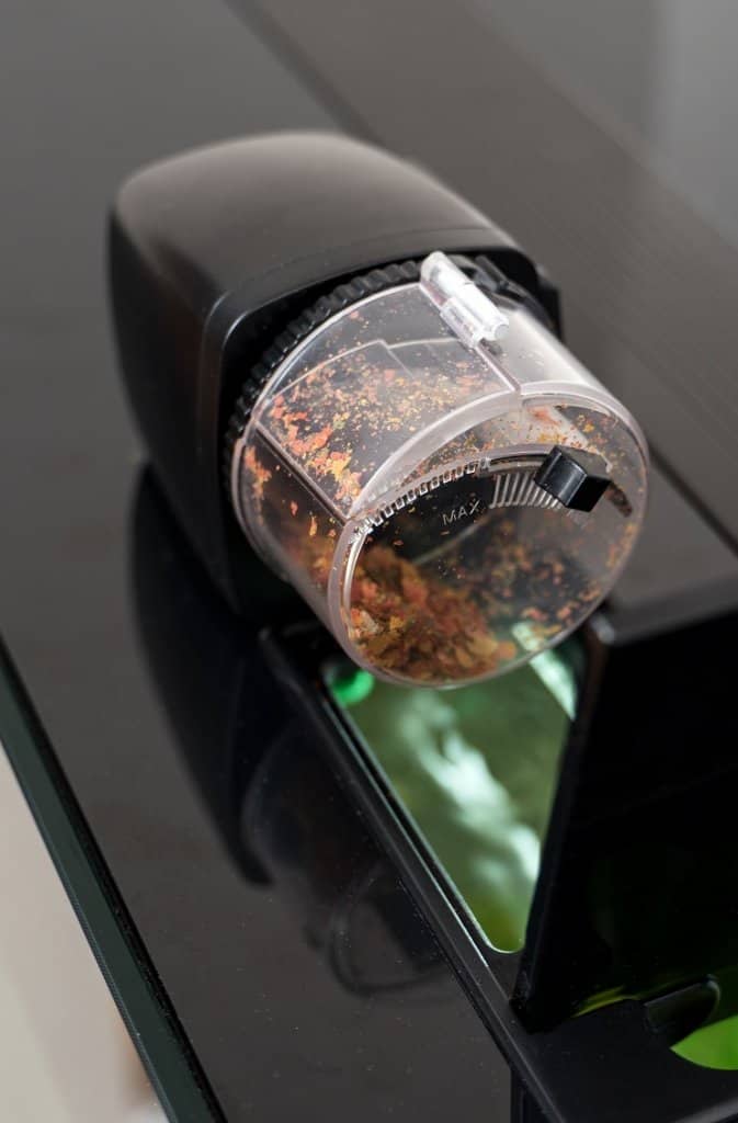 Alimentador automático de peixes
