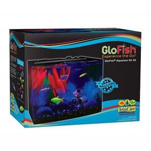 Aquário GloFish