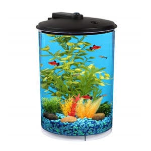 Tanque Koller Aquaview de 3 galões