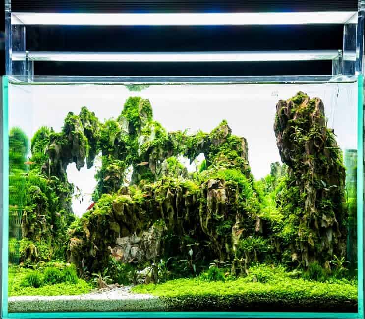 Iluminação LED no tanque