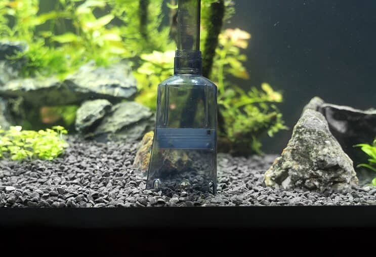 Sifão de cascalho do tanque de peixes