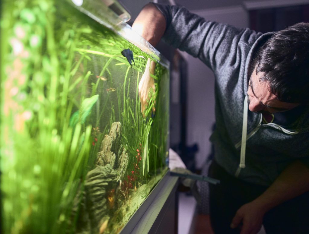 água turva no tanque de peixes