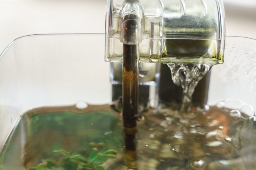 água turva no tanque de peixes