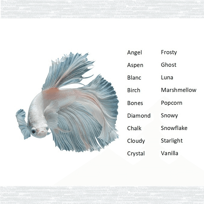 Nomes de peixes brancos