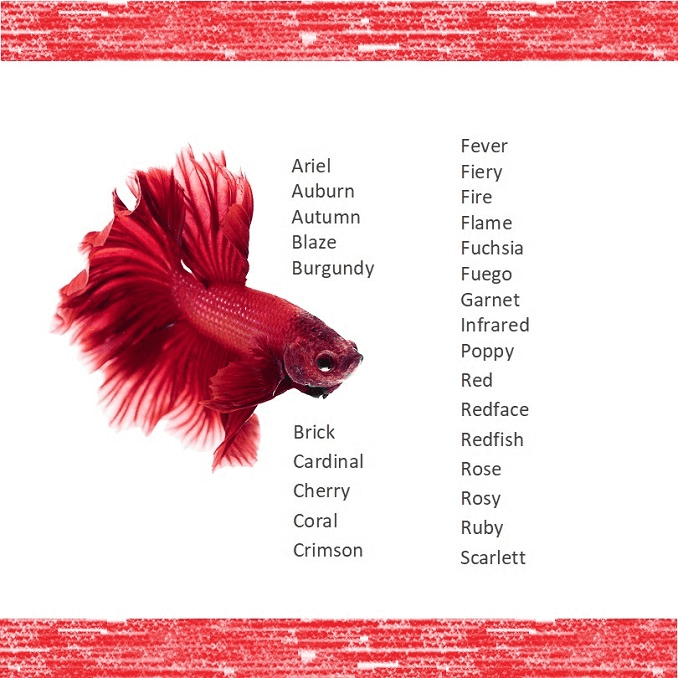 Nomes de peixes vermelhos