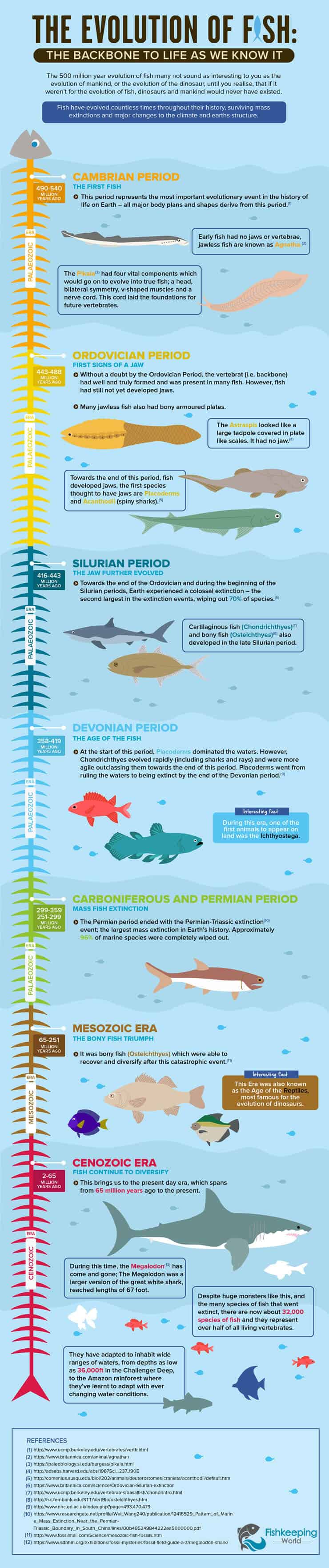 A evolução do infográfico de peixes