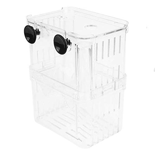 Petzilla In-Tank Aquarium Breeder Box para aquário, incubadora de reprodução para incubatório de pequenos peixes, divisor de acrílico para camarão peixe palhaço Peixe agressivo Peixe ferido (pequeno)