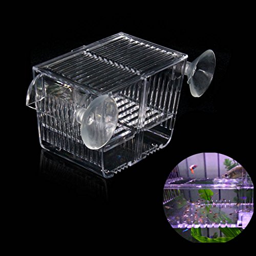 boxtech Aquário Aquário Aquário Incubadora Incubadora Caixa de reprodução, Acrílico Branco Criador Isolamento Divisor Caixas de incubação Acessórios Pequenos peixes bebês Camarão Peixe-palhaço Guppy (5,2x2,7x2,9 '')