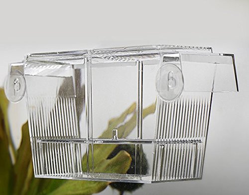 PETS ISLAND Aquarium Fishes Breeding Boxes Dupla Guppies Incubadora Incubadora Box (7,7 pol.)