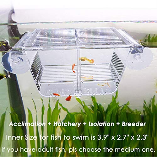 capetsma Caixa de Criação de Peixes, Caixa de Isolamento Acrílico de Peixes com Ventosas, Incubadora de Incubadora de Aclimatação de Aquários para Peixes Filhotes Camarão Peixe-palhaço e Guppy. Tamanho pequeno (S)