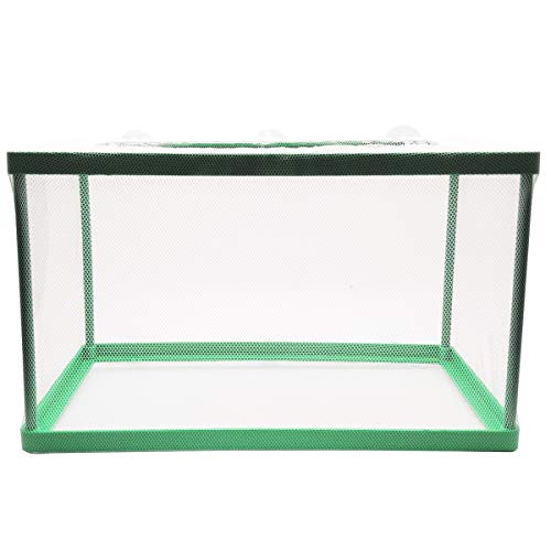 Caixa de criação de peixes de aquário, caixa de isolamento de peixes, caixa de incubação, incubadora de desova de peixes juvenis, incubatório de rede de isolamento de água (verde)