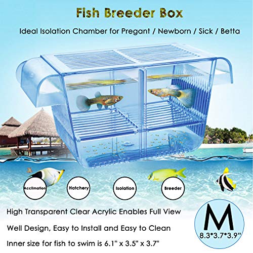 Capetsma Fish Breeder Box, Hang-on Nursery Fish Tank com Breeding Chatching Incubator Acclimation Box, Perfect Fish Tank Divider para Agressivo Peixe Grávida Ferido Peixe Pequeno Salmoura Camarão Clownfish