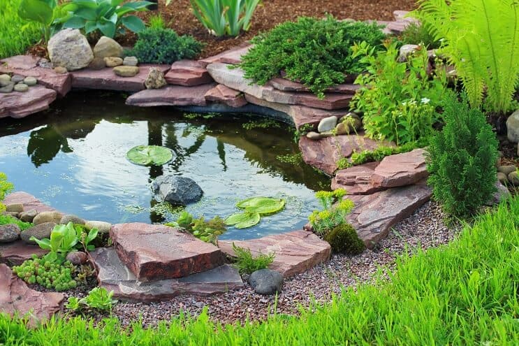 Configuração do Turtle Pond