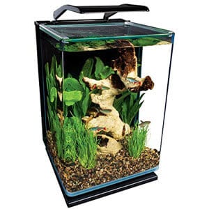 Aquário pequeno ideal para paludário de bancada