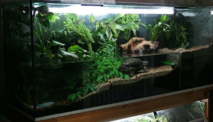 Ideia de habitante de tanque